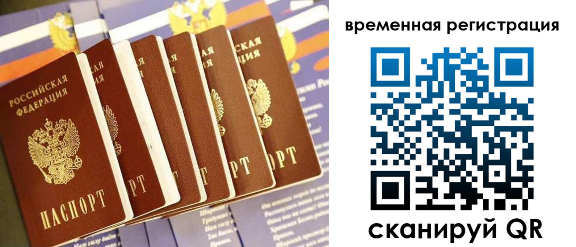 временная регистрация поиск в Ленинградской области